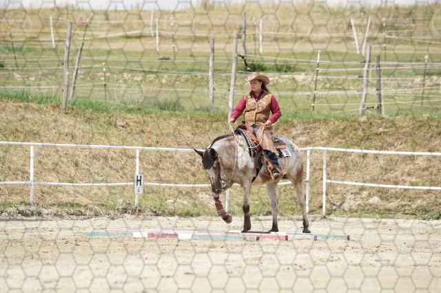 s_K3F06827.JPG